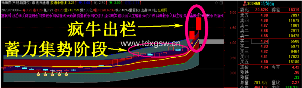 通达信 谢氏右侧战法 股道右侧战法,短线题材神助力工具!主图/选股 通达信 谢氏右侧战法 股道右侧战法,短线题材神助力工具!主图/选股