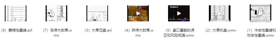 伍朝辉高级职业操盘手《操盘学》视频课程 伍朝辉高级职业操盘手《操盘学》视频课程