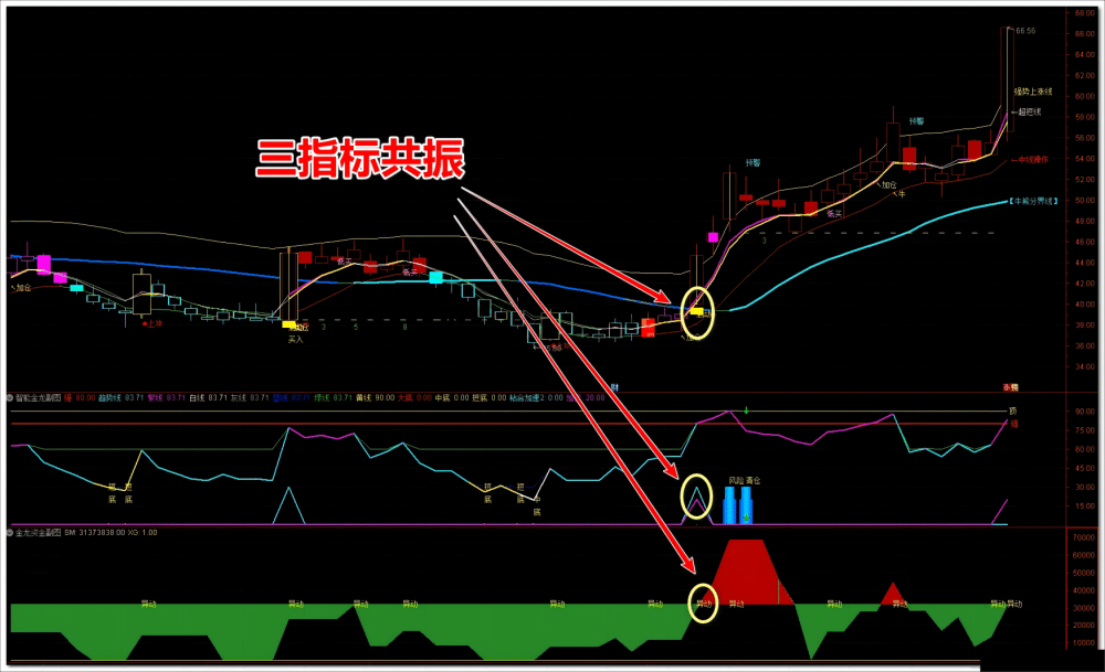 【通达信】智能金龙系统指标套装公式{主图/副图/选股}多信号共振 主龙头沉浮 【通达信】智能金龙系统指标套装公式{主图/副图/选股}多信号共振 主龙头沉浮