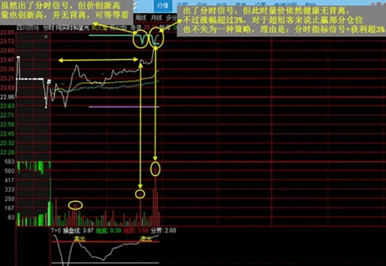 金钻指标通达信【实时星光分时】主图/副图指标，高抛低吸利器，分时做T专用，无未来函数，手机电脑通用