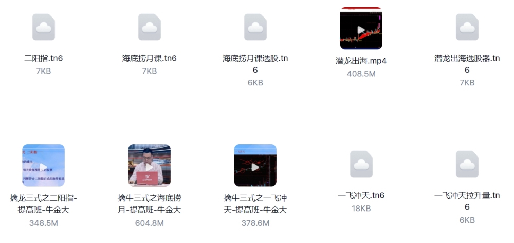 杨殿方2024集合竞价异动试盘移动筹码课 极简转折开盘定式t+0技巧+杨殿方12套课程指标合集