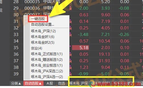 《啄木鸟竞价系统》软件版指标+版面+股池 不打板、不追高、每天一支票