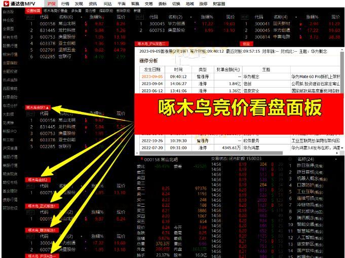 《啄木鸟竞价系统》软件版指标+版面+股池 不打板、不追高、每天一支票