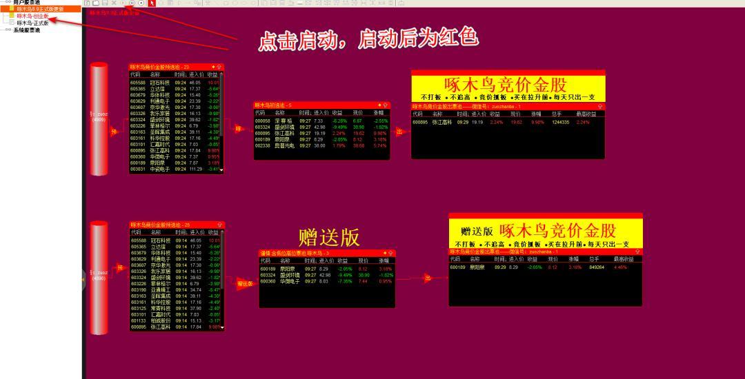 《啄木鸟竞价系统》软件版指标+版面+股池 不打板、不追高、每天一支票