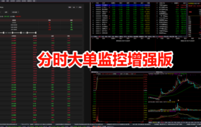 通达信用同花顺分时大单监控增强版可以定时看资金情况直接定位万手哥