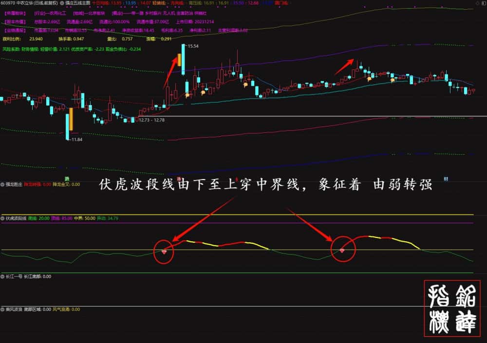 穿越牛熊《强庄制胜王牌套装》龙头暴利强股一网打尽、适合新手老手抄底追牛,不含未来函数 穿越牛熊《强庄制胜王牌套装》龙头暴利强股一网打尽、适合新手老手抄底追牛,不含未来函数