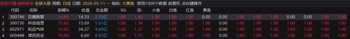 【2025金钻大黄鱼】预警、低吸、排序 捕捉最强拉升段、快速拉升段用黄鱼的形态表现。指标升级加入排序 【2025金钻大黄鱼】预警、低吸、排序 捕捉最强拉升段、快速拉升段用黄鱼的形态表现。指标升级加入排序