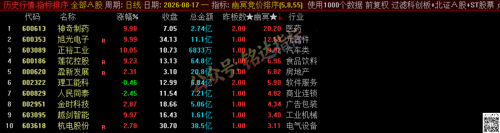 源码分享【幽冥竞价】副图排序/选股指标，竞价排序后全天不变，可回测，仅限电脑使用