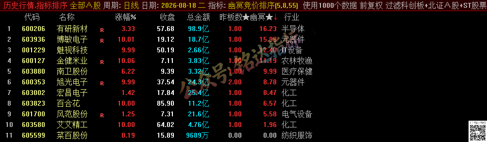 源码分享【幽冥竞价】副图排序/选股指标，竞价排序后全天不变，可回测，仅限电脑使用