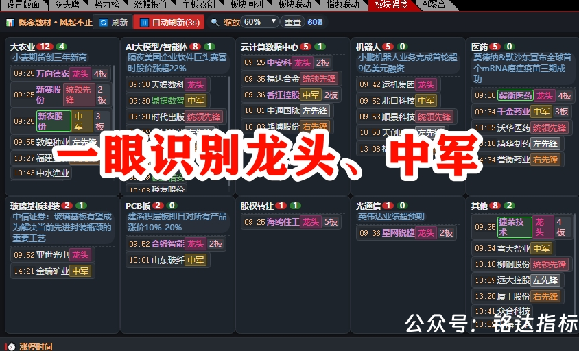 绝对实用的版面【一眼识别龙头和中军的板块强度】版面