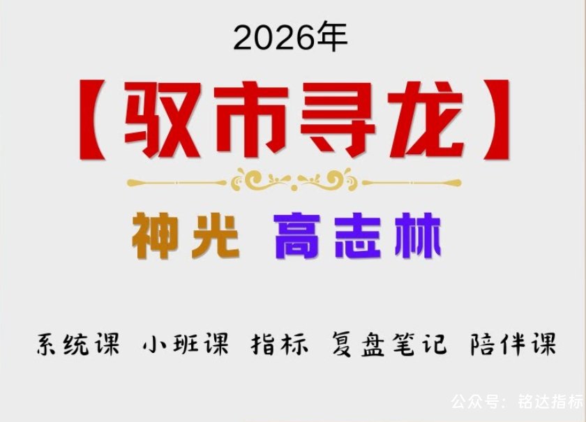 拼团--2026神光【高志林驭市寻龙】系统全套