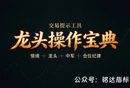 版面文件分享【龙头操作宝典】 · 情绪 / 龙头 / 中军 / 仓位纪律 交易提示工具